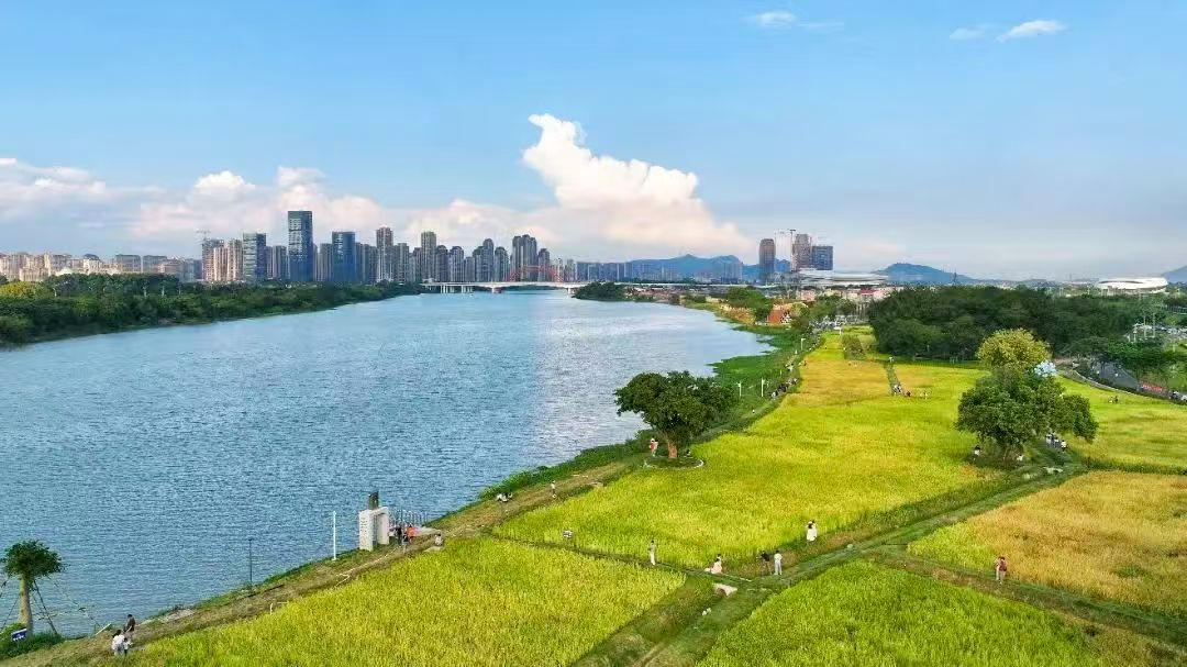 城市乐跑、热气球体验、无人机表演……漳州龙江岁月即将全线开园