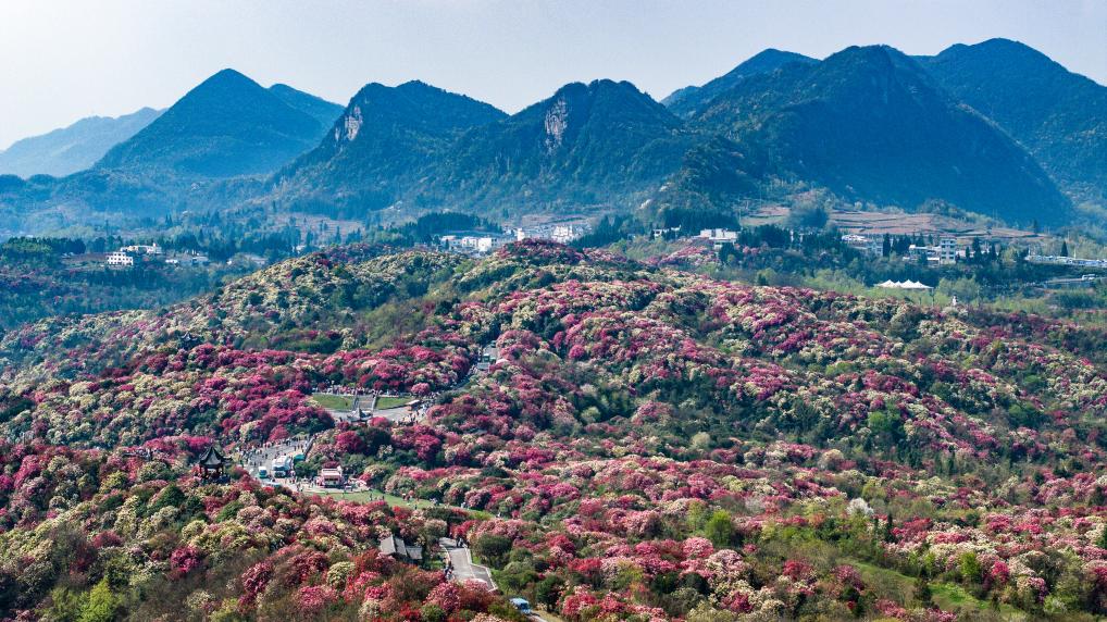 接下来这半个多月，这些地方会很美！