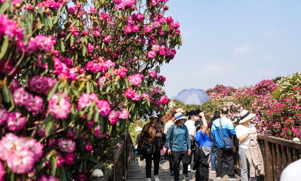 接下来这半个多月，这些地方会很美！