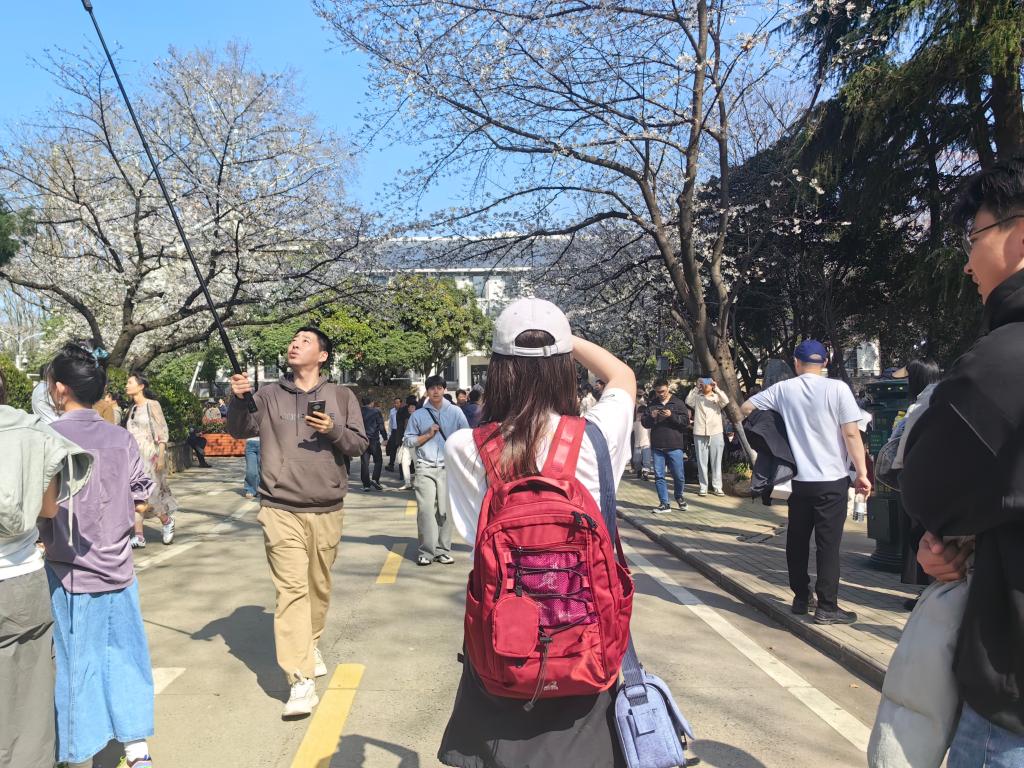 焕“新”场景激发消费活力 融合业态释放市场潜能