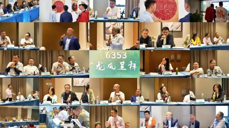 6353“龙凤呈祥”：从“卖酒向卖生活方式”的创新典范