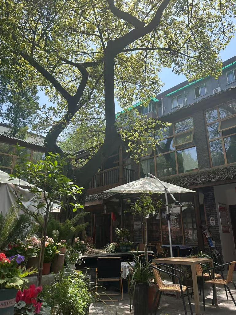 成都：烟火街巷里的书店