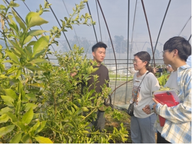 元宇宙赋能乡村文旅！扶翼游子团队探路蚌埠老常怀农场数字新图景