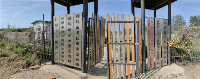 元宇宙赋能乡村文旅！扶翼游子团队探路蚌埠老常怀农场数字新图景