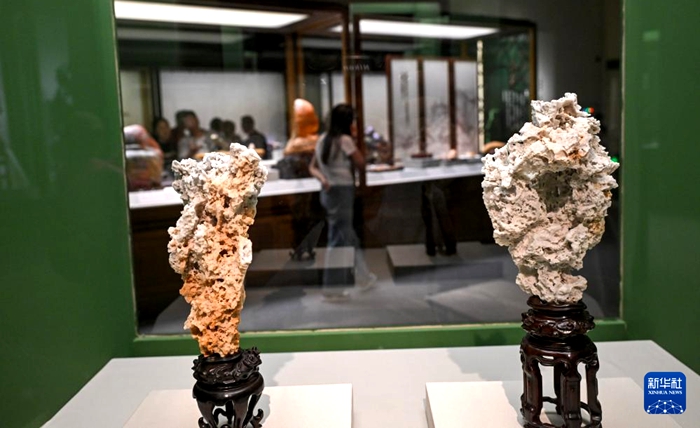 “石韵天成——中国观赏石艺术展”在国博开幕