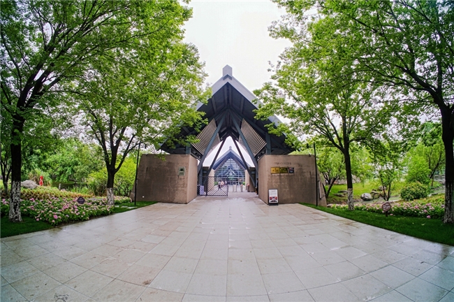 5.17-5.18，等风来，不如追凤去！  “最中国·文博市集”中国凤专场在新吴区成功举办
