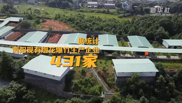 “老树发新芽”！“浏阳烟花”燃亮世界
