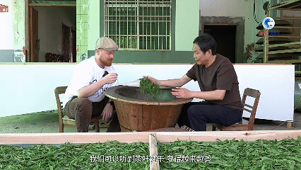 洋主厨“寻味”中国非遗——一片叶子“搭”出花样玩法