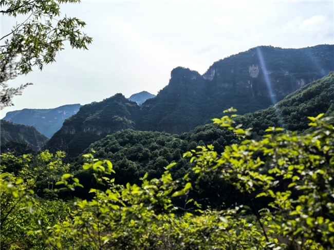 澳涞山庄荣获中国权威认证 成文旅新标杆